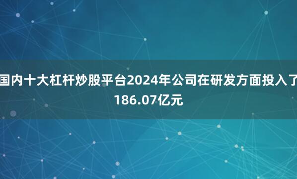 国内十大杠杆炒股平台2024年公司在研发方面投入了186.07亿元