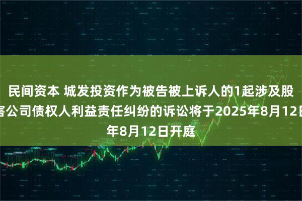 民间资本 城发投资作为被告被上诉人的1起涉及股东损害公司债权人利益责任纠纷的诉讼将于2025年8月12日开庭