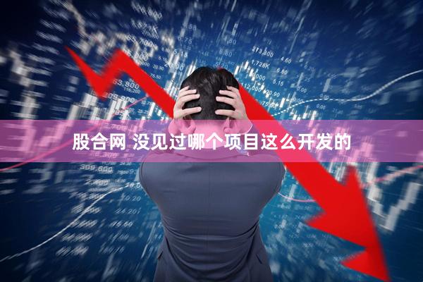 股合网 没见过哪个项目这么开发的